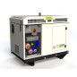 Benzin Stromerzeuger Pramac P 15000, 400 V, AVR Benzin Stromerzeuger Pramac P 15000, 400 V, AVR