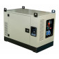 Benzin Stromerzeuger Fogo FV 17001 CRA (Vanguard)
