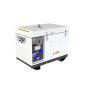 Diesel Stromerzeuge Pramac P 9000, 230 V, AVR
